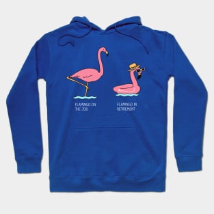 Flamingo Hoodie